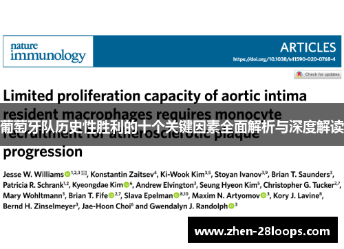 葡萄牙队历史性胜利的十个关键因素全面解析与深度解读